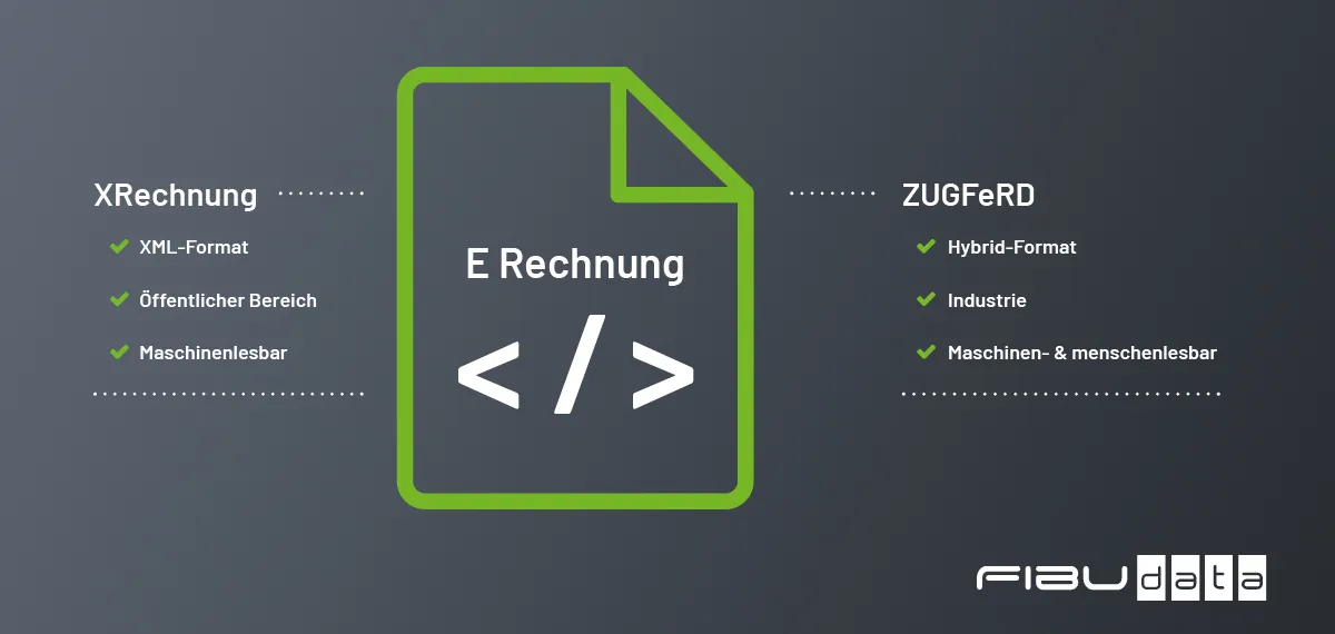 software-e-rechnung-arten Grafik stellt die Arten der E Rechnung dar
